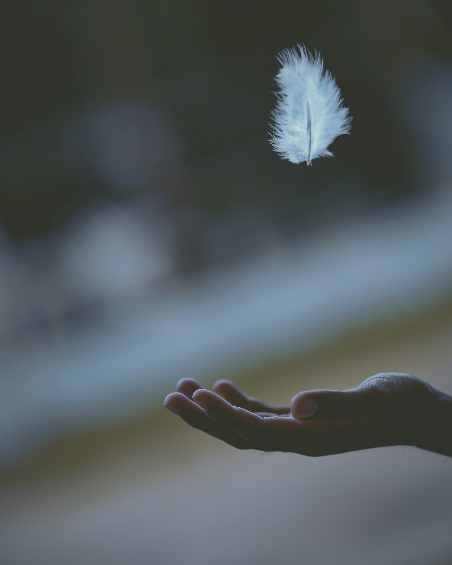 How Local Communities Can Benefit From Expert Healing