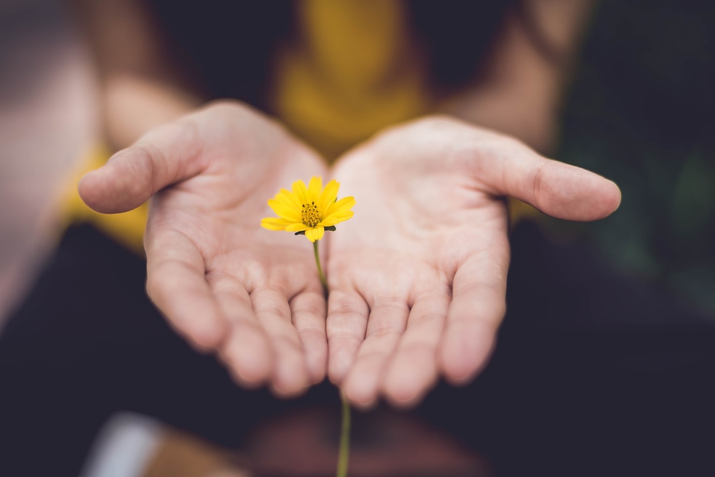 The Connection Between Physical Health and Mental Wellness